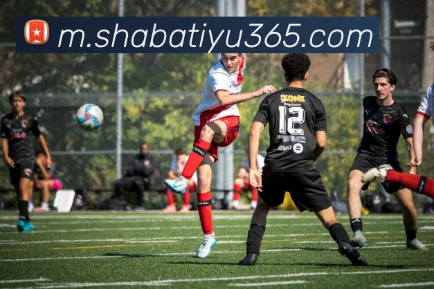 多媒体互动体验